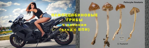 прущие крисы Краснослободск