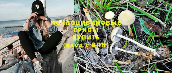 ALPHA PVP Строитель