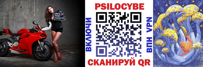 Галлюциногенные грибы Psilocybine cubensis где продают наркотики Нарьян-Мар